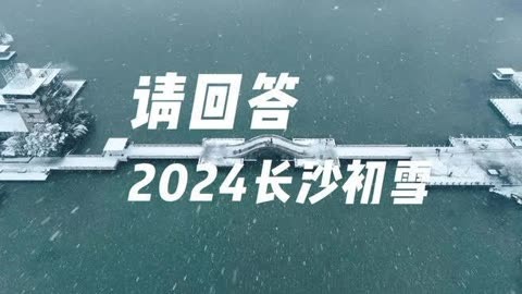 智驾市场格局“生变”？ | 请回答2024