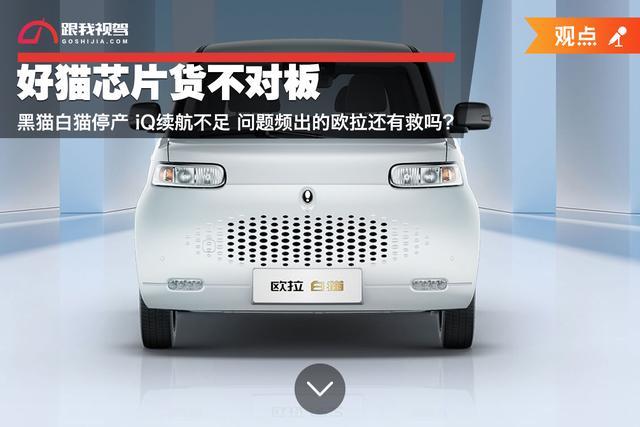 魏建军：欧拉黑猫、白猫卖一台车亏1.3万 所以我们停产不干了