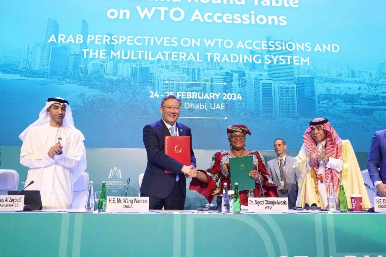 【商务部：中国在世贸组织起诉欧盟电动