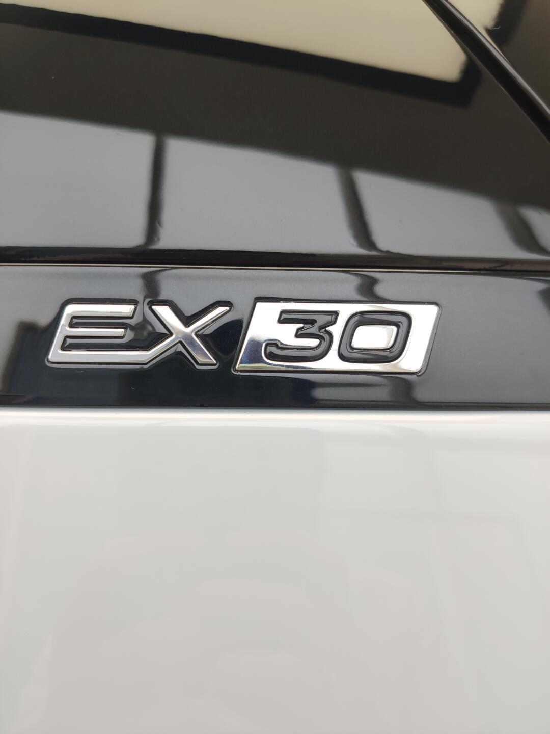 四个配置选高配 沃尔沃EX30购车手册